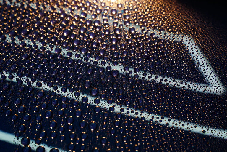 SINERGY PAINT